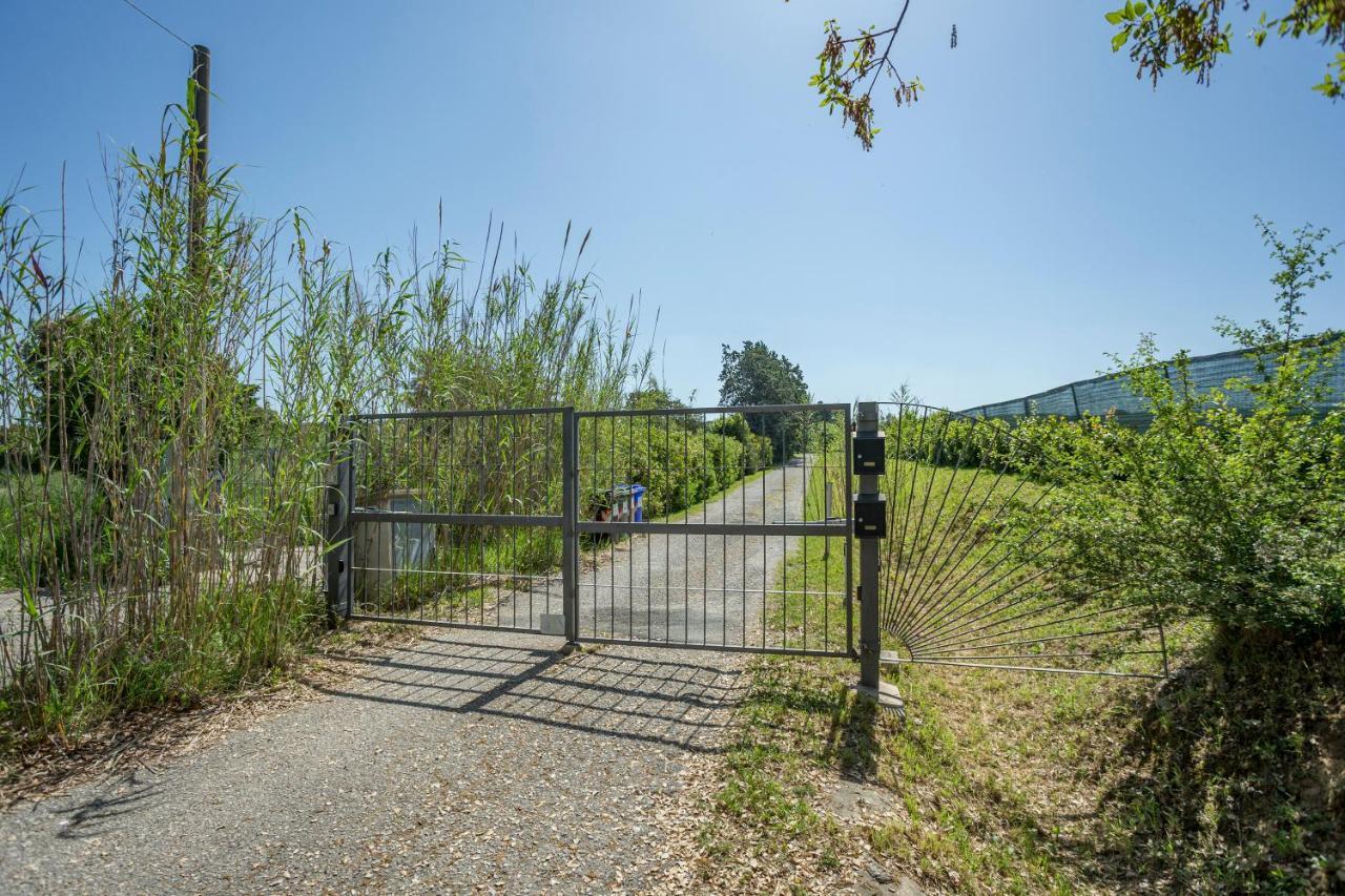 Podere Belvedere Livorno Buitenkant foto