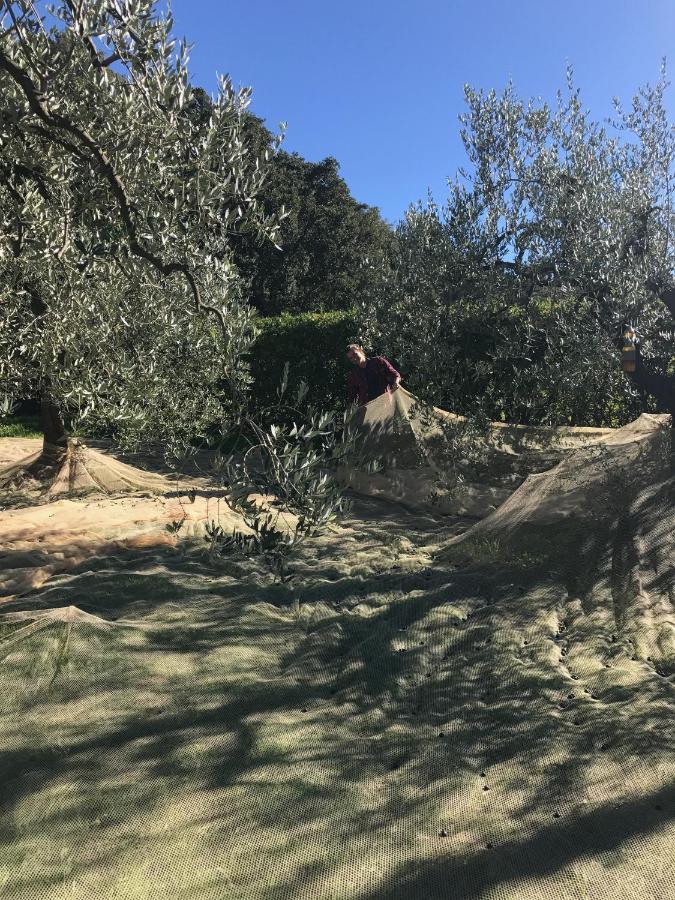 Podere Belvedere Livorno Buitenkant foto